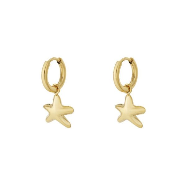 Oorbellen | Tiny Star - Goud