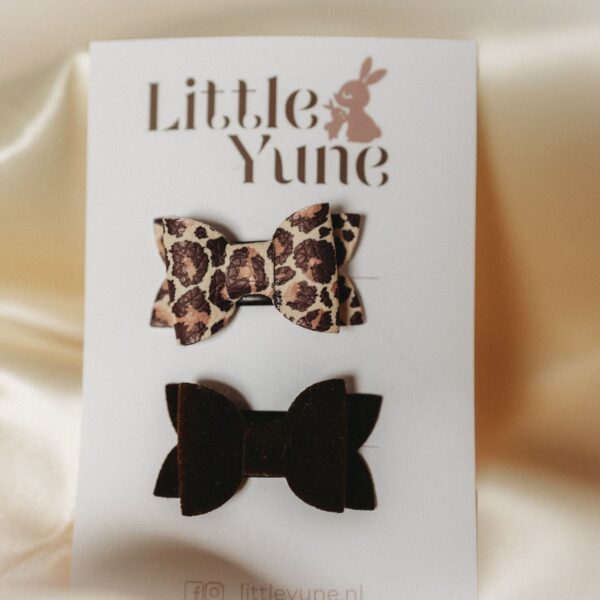 A112969B-B031-45E8-B84E-79F00BD1FA71_1_102_o