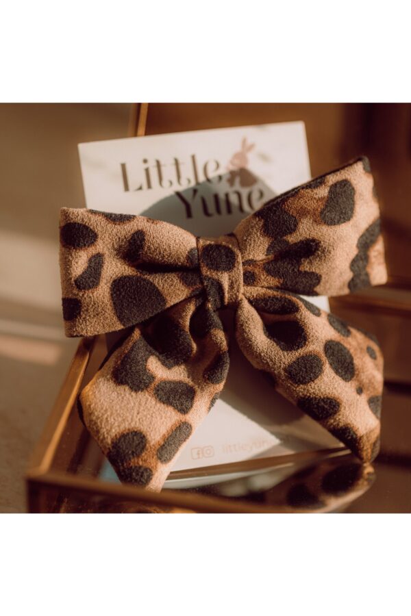 Little Daydreams