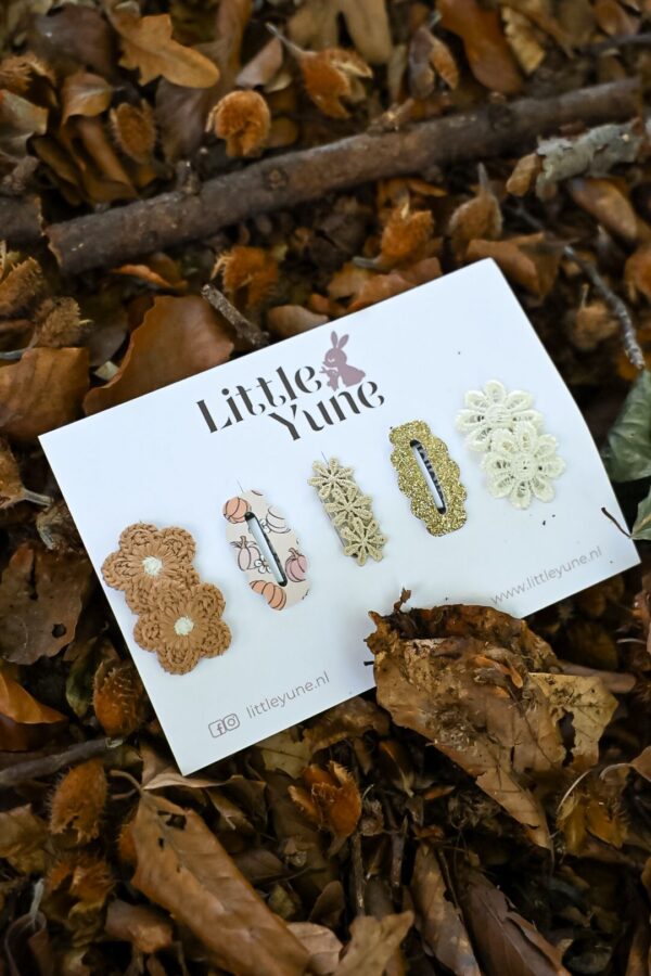 Herfst antislip speldjes set van 5 Benthe met gehaakte bloem, kant, pompoen en goud glitter - Little Yune
